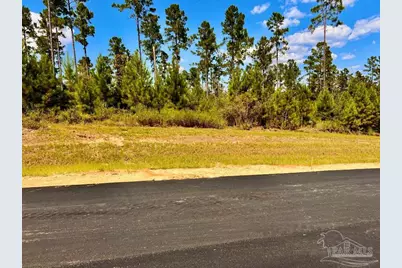 Lot 3 Morgans Branch, Molino, FL 32577 - Photo 11