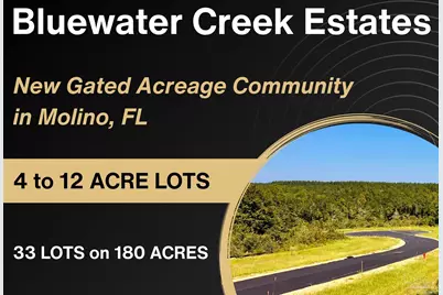 Lot 3 Morgans Branch, Molino, FL 32577 - Photo 3