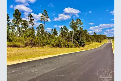 Lot 3 Morgans Branch, Molino, FL 32577 - Photo 1