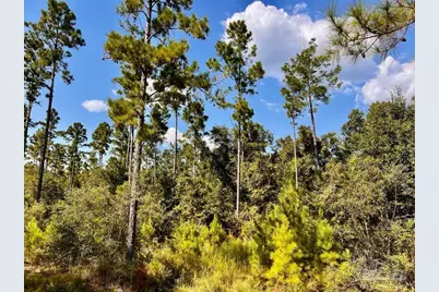 Lot 4 Morgans Branch, Molino, FL 32577 - Photo 17