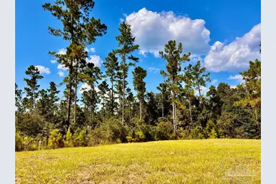 Lot 4 Morgans Branch, Molino, FL 32577 - Photo 11