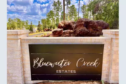 Lot 4 Morgans Branch, Molino, FL 32577 - Photo 5