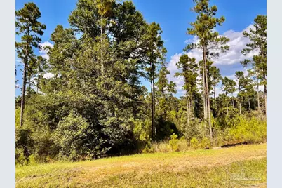 Lot 4 Morgans Branch, Molino, FL 32577 - Photo 13
