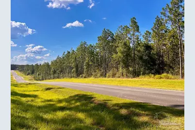Lot 5 Morgans Branch, Molino, FL 32577 - Photo 1
