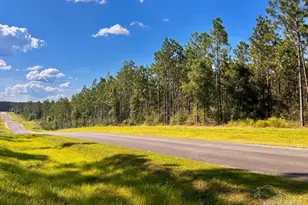 Lot 5 Morgans Branch, Molino, FL 32577 - Photo 1