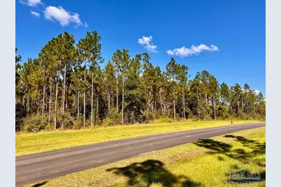Lot 5 Morgans Branch, Molino, FL 32577 - Photo 9