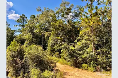 Lot 5 Morgans Branch, Molino, FL 32577 - Photo 11