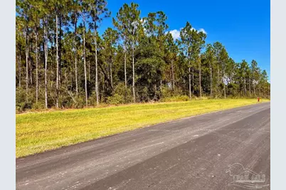 Lot 5 Morgans Branch, Molino, FL 32577 - Photo 19