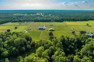 4425 Dream Acres Rd, Molino, FL 32577 - Photo 59