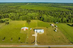 4425 Dream Acres Rd, Molino, FL 32577 - Photo 3