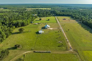 4425 Dream Acres Rd, Molino, FL 32577 - Photo 67