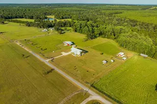 4425 Dream Acres Rd, Molino, FL 32577 - Photo 5