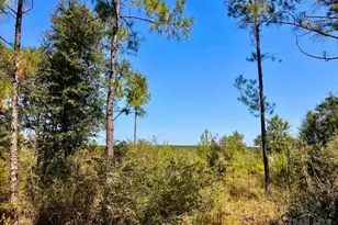 Lot 6 Sounder Dr, Molino, FL 32577 - Photo 1