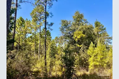 Lot 6 Sounder Dr, Molino, FL 32577 - Photo 13