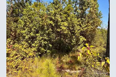 Lot 6 Sounder Dr, Molino, FL 32577 - Photo 15