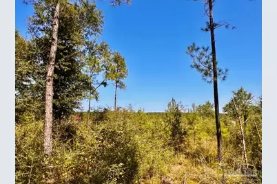 Lot 6 Sounder Dr, Molino, FL 32577 - Photo 17
