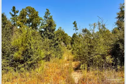 Lot 7 Sounder Dr, Molino, FL 32577 - Photo 13