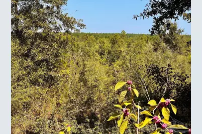 Lot 7 Sounder Dr, Molino, FL 32577 - Photo 21