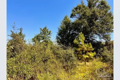 Lot 7 Sounder Dr, Molino, FL 32577 - Photo 11