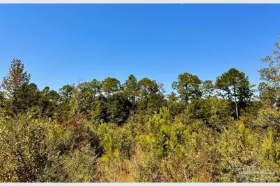 Lot 7 Sounder Dr, Molino, FL 32577 - Photo 15