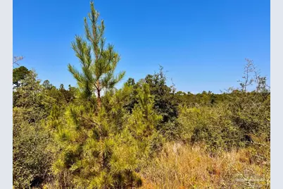 Lot 7 Sounder Dr, Molino, FL 32577 - Photo 17