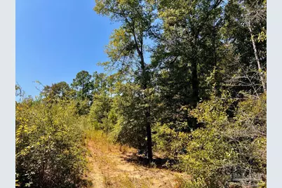 Lot 8 Sounder Dr, Molino, FL 32577 - Photo 15
