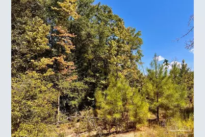 Lot 8 Sounder Dr, Molino, FL 32577 - Photo 17