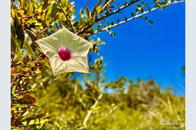 Lot 8 Sounder Dr, Molino, FL 32577 - Photo 13