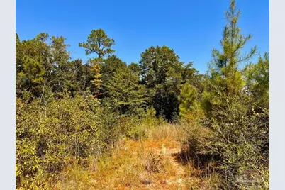 Lot 8 Sounder Dr, Molino, FL 32577 - Photo 9