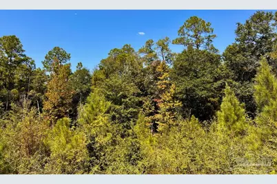 Lot 8 Sounder Dr, Molino, FL 32577 - Photo 19