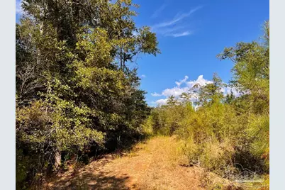 Lot 9 Sounder Dr, Molino, FL 32577 - Photo 25