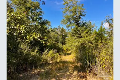 Lot 9 Sounder Dr, Molino, FL 32577 - Photo 9