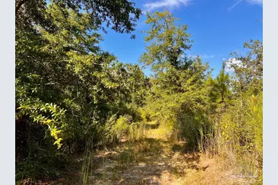 Lot 9 Sounder Dr, Molino, FL 32577 - Photo 23