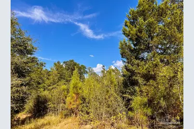 Lot 9 Sounder Dr, Molino, FL 32577 - Photo 19