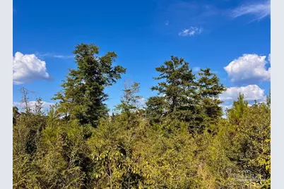 Lot 9 Sounder Dr, Molino, FL 32577 - Photo 17