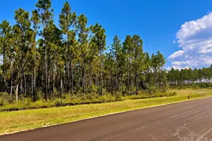 Lot 11 Morgans Branch, Molino, FL 32577 - Photo 1