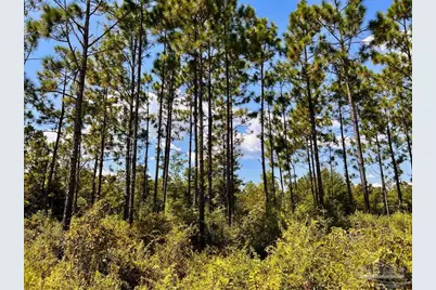 Lot 11 Morgans Branch, Molino, FL 32577 - Photo 17