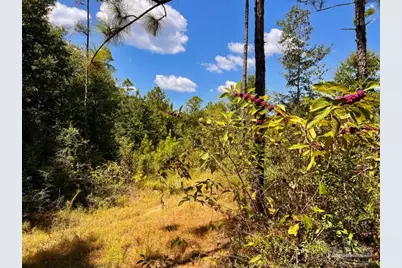 Lot 11 Morgans Branch, Molino, FL 32577 - Photo 13