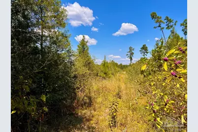 Lot 11 Morgans Branch, Molino, FL 32577 - Photo 15