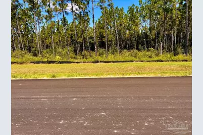Lot 11 Morgans Branch, Molino, FL 32577 - Photo 11