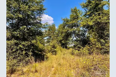Lot 11 Morgans Branch, Molino, FL 32577 - Photo 9