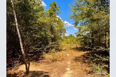 Lot 12 Morgans Branch, Molino, FL 32577 - Photo 13