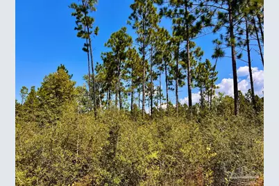 Lot 12 Morgans Branch, Molino, FL 32577 - Photo 9
