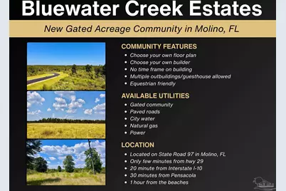 Lot 12 Morgans Branch, Molino, FL 32577 - Photo 15