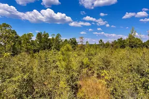 Lot 12 Morgans Branch, Molino, FL 32577 - Photo 1