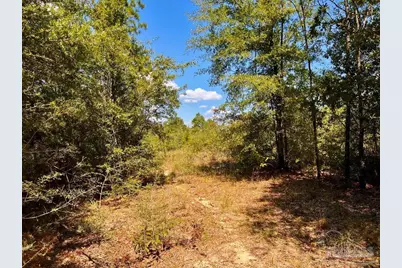 Lot 12 Morgans Branch, Molino, FL 32577 - Photo 7