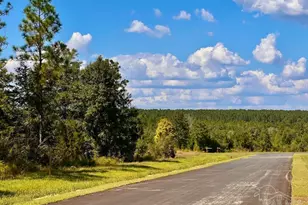 Lot 13 Morgans Branch, Molino, FL 32577 - Photo 1