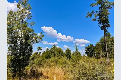 Lot 13 Morgans Branch, Molino, FL 32577 - Photo 13