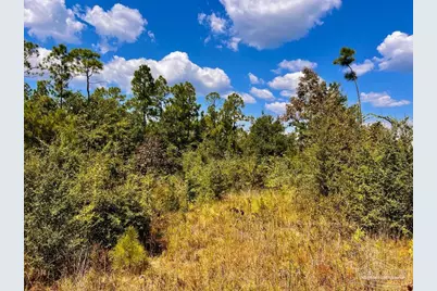Lot 13 Morgans Branch, Molino, FL 32577 - Photo 17