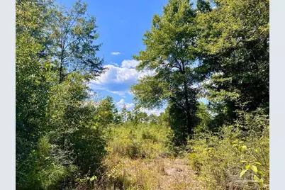 Lot 13 Morgans Branch, Molino, FL 32577 - Photo 9